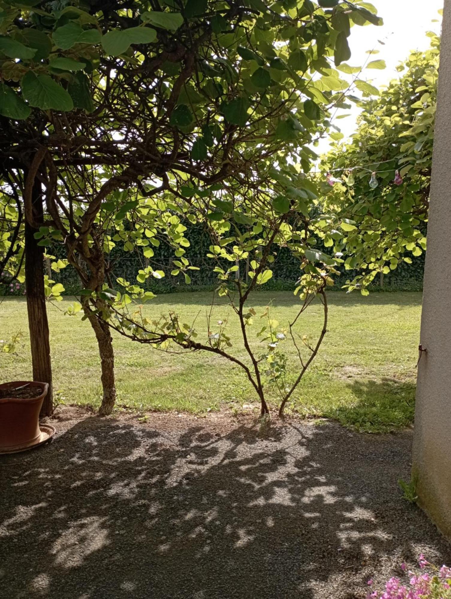 Le Gite De Margot Beyssac Bagian luar foto